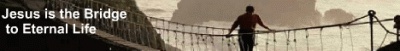 man on rope bridge