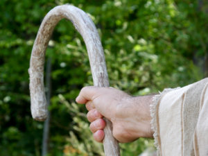 shepherd's crook